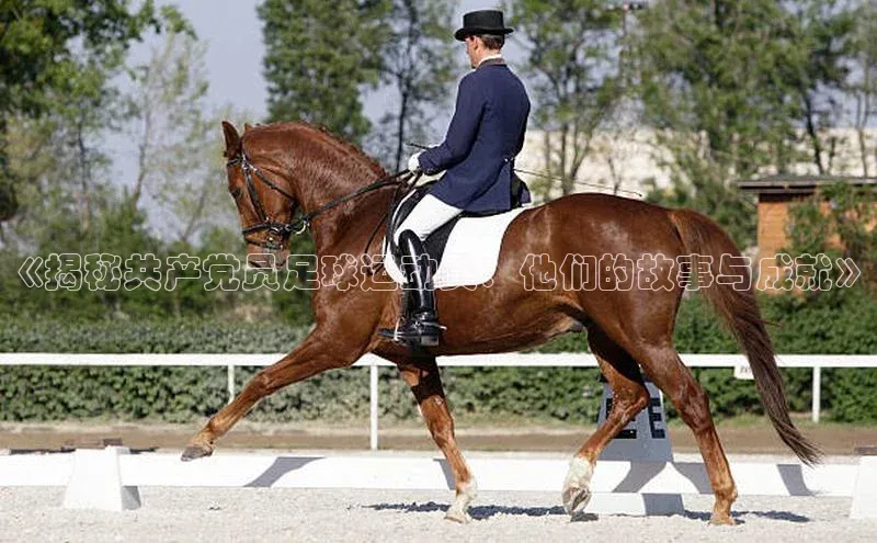 谈球吧.(china)官方网站中海达《揭秘共产党员足球运动员：他们的故事与成就》