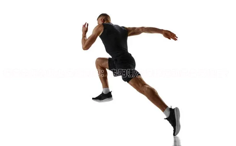 谈球吧网页登录皮阿诺探索贵阳的职业足球风采：贵阳哪些足球运动员备受瞩目？