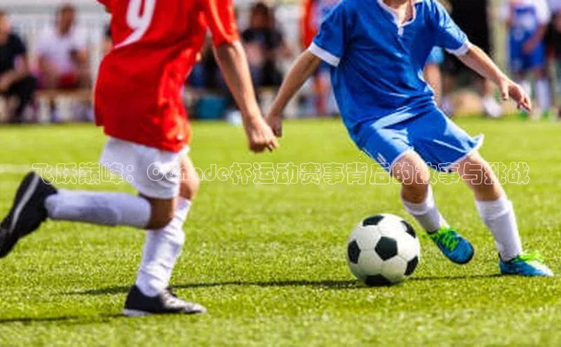 谈球吧体育app荣信文化飞跃巅峰：Conade杯运动赛事背后的故事与挑战