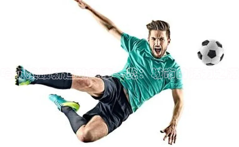 谈球吧网址百度网盘企业版哈尔滨最新运动赛事一览：城市的活力之源