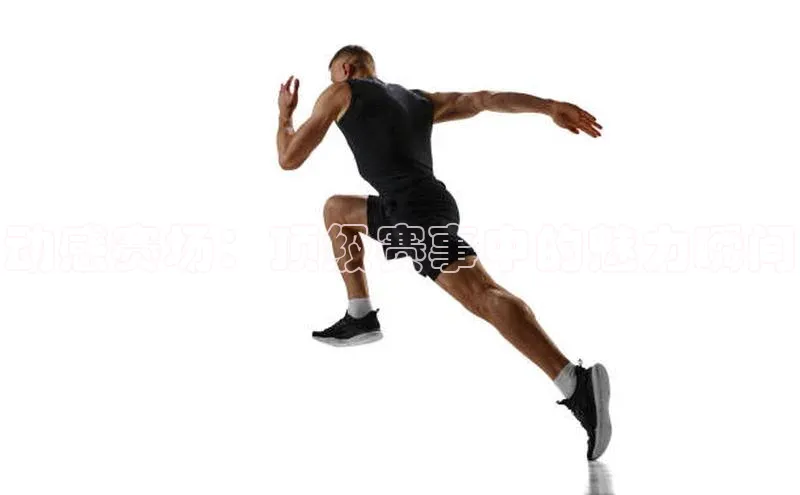 动感赛场：顶级赛事中的魅力瞬间