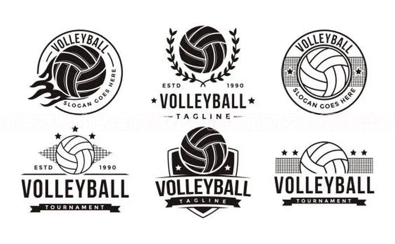 领克赛事中的全能战士：顶尖运动员的驾驶潜能