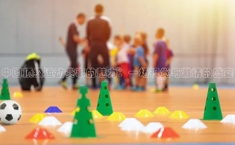 中国顶级运动赛事的魅力：一场视觉与激情的盛宴