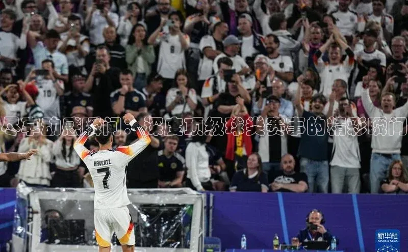 尽享动感瞬间：深度顶级球类赛事的精彩瞬间