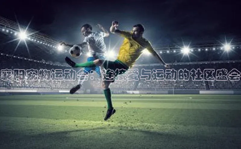 襄阳宠物运动会：连接爱与运动的社区盛会