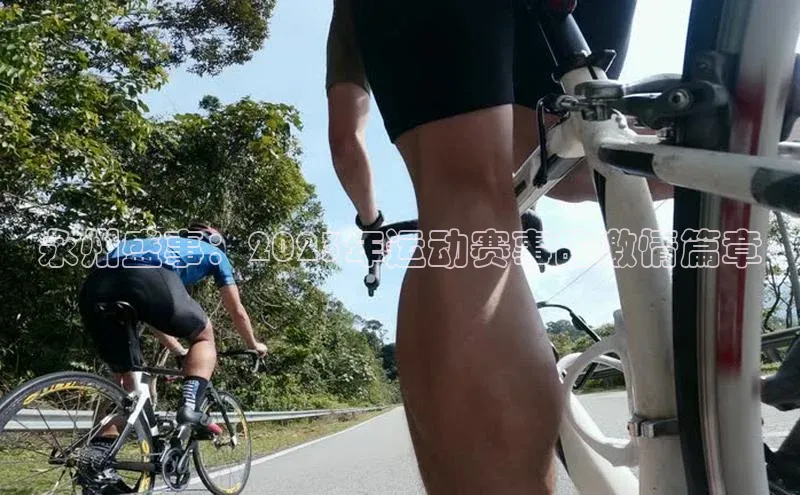 永州盛事：2023年运动赛事的激情篇章