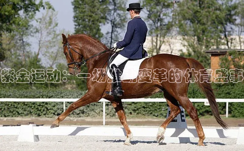 紫金运动：一场推动变革的体育盛事