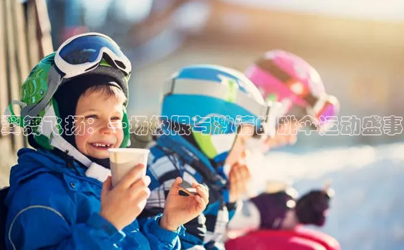 翼舞飞扬：一场极限与激情的跳伞运动盛事
