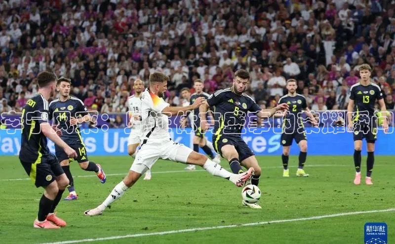 李宁风采：见证体育盛事的荣耀瞬间