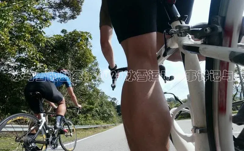 冰与雪的盛宴：2023冰雪运动赛事详记与