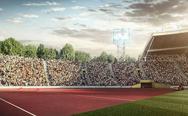 民族运动会各地区赛事分布概览：一次全球体育文化交流盛会