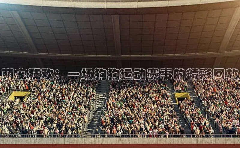 萌宠狂欢：一场狗狗运动赛事的精彩回放